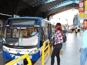 WEB Exigen competencia y no hay resultados