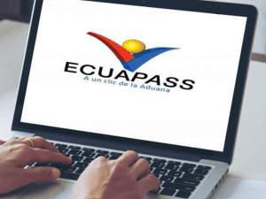 WEB Registro OCE Transportista Terrestre Aprobado