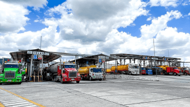 WEB Eliminación, focalización o estabilización de precios de combustible