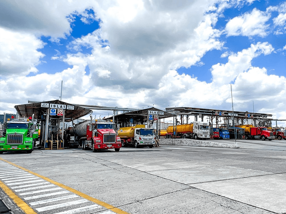 WEB Eliminación, focalización o estabilización de precios de combustible