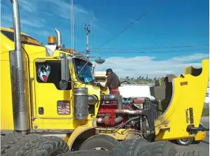 Es necesaria la chatarrizacion de vehiculos de transporte pesado