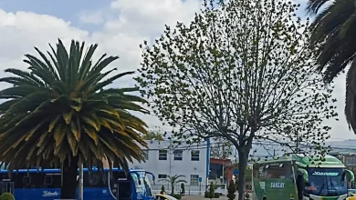 WEB TRANSPORTE DE RIOBAMBA
