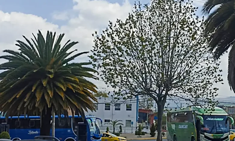 WEB TRANSPORTE DE RIOBAMBA
