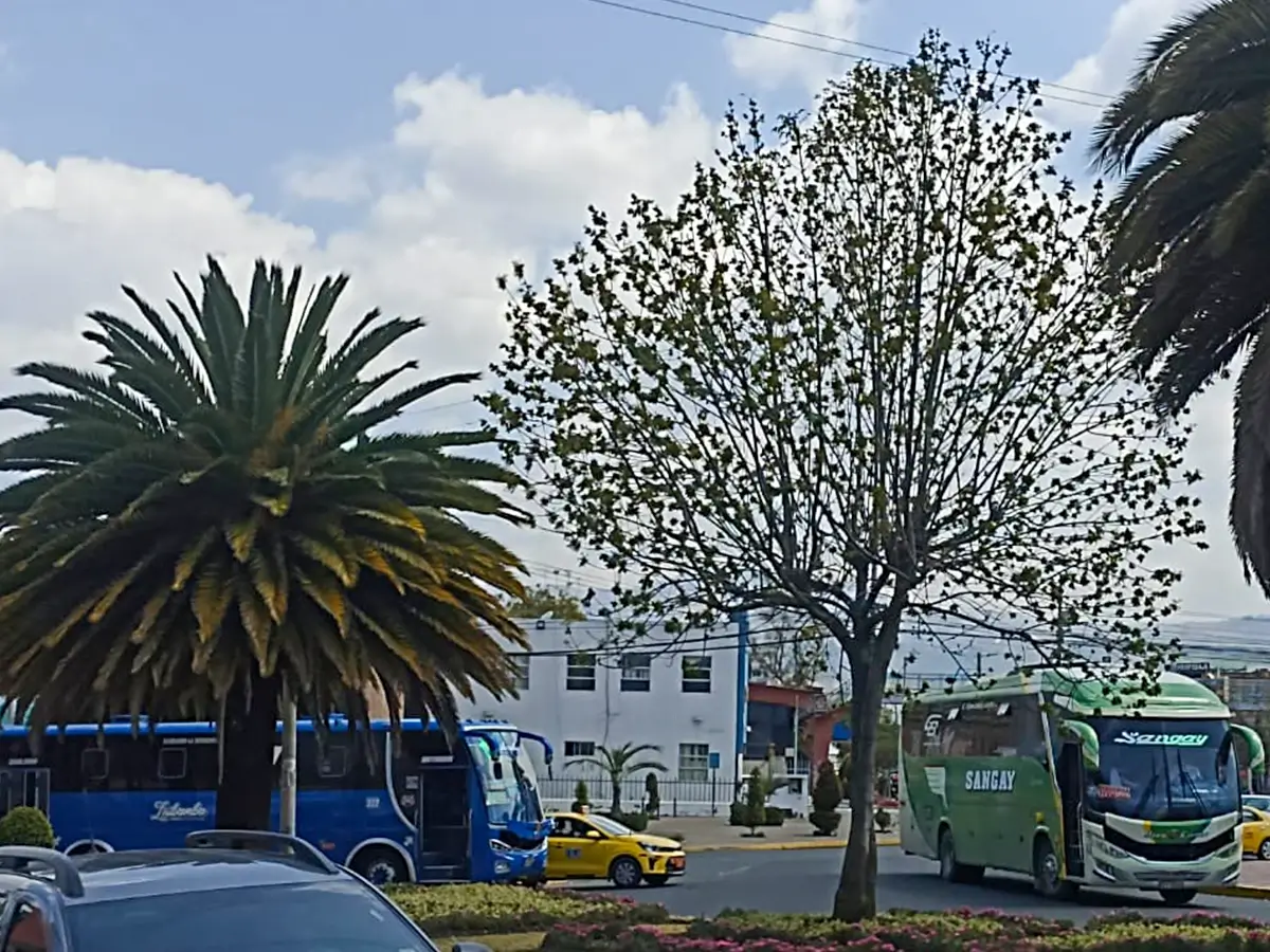 WEB TRANSPORTE DE RIOBAMBA