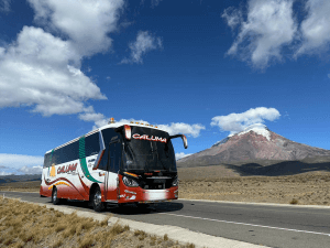 WEB ANIVERSARIO COOP CALUMA