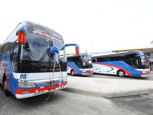 WEB ANIVERSARIO RUTAS PORTOVEJENSES