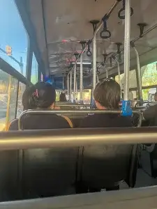 WEB FRACASO CAJA COMUN