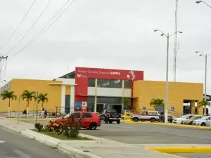 WEB TERMINAL SE BLINDA DE SEGURIDAD