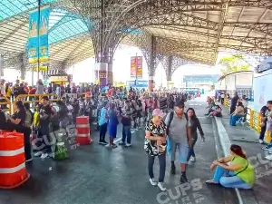 olumnas enormes y errores frecuentes en el sistema, son denominador común en las quejas de los interesados.