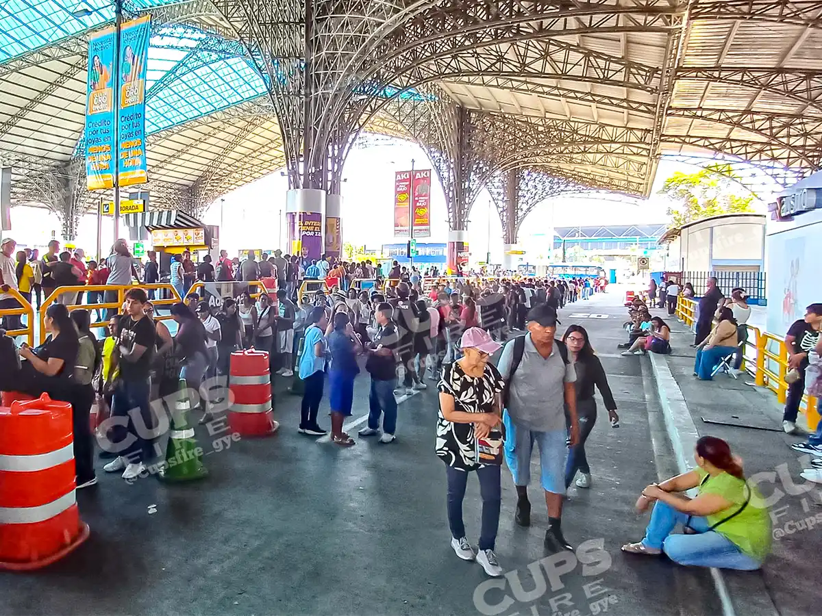 olumnas enormes y errores frecuentes en el sistema, son denominador común en las quejas de los interesados.