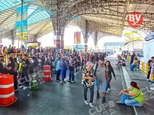 Largas filas y amontonamiento para obtener la Guayaca en Guayaquil