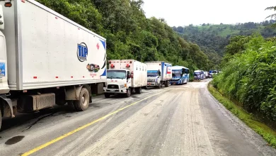 Varios son los desafíos del transporte de carga