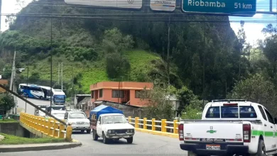 Transporte ilegal compite en Gallo Rumi