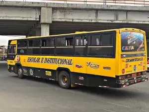 Hay irregularidades en la aplicación de la Ley para los escolares