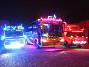 Carros iluminados con luces Led y decorados.