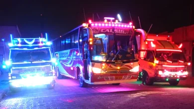 Carros iluminados con luces Led y decorados.