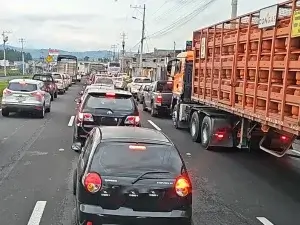 Certificado Unico Vehicular contiene información de vehículos