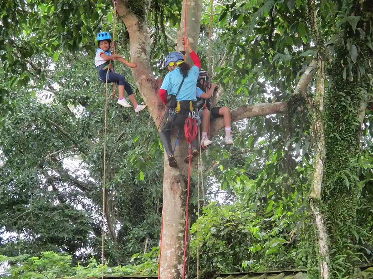 Escalada árboles para los más decididos