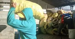 Chofer estibador no es común