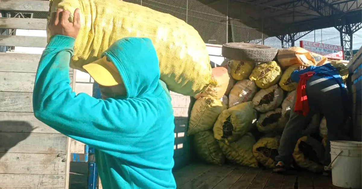 Chofer estibador no es común