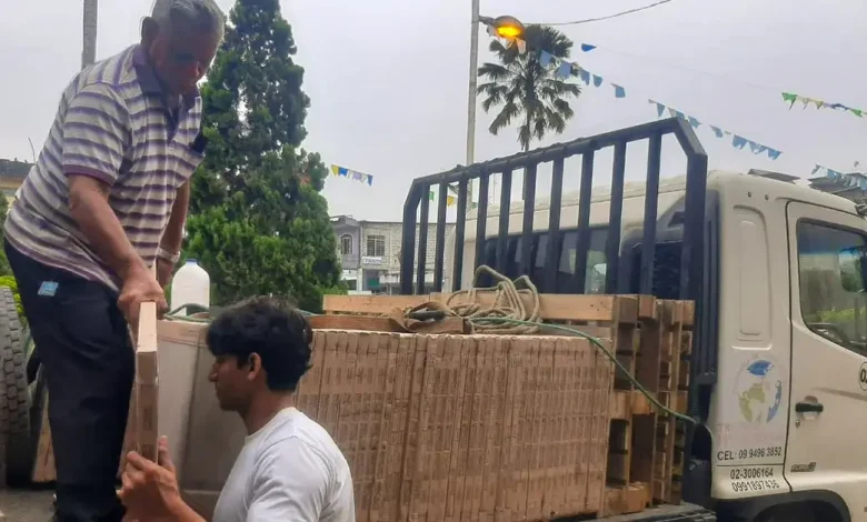 Transporte de Cerámicas