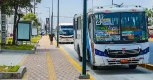 Buses urbanos de Daule