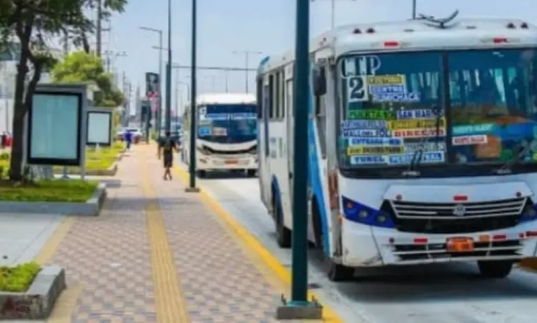 Buses urbanos de Daule