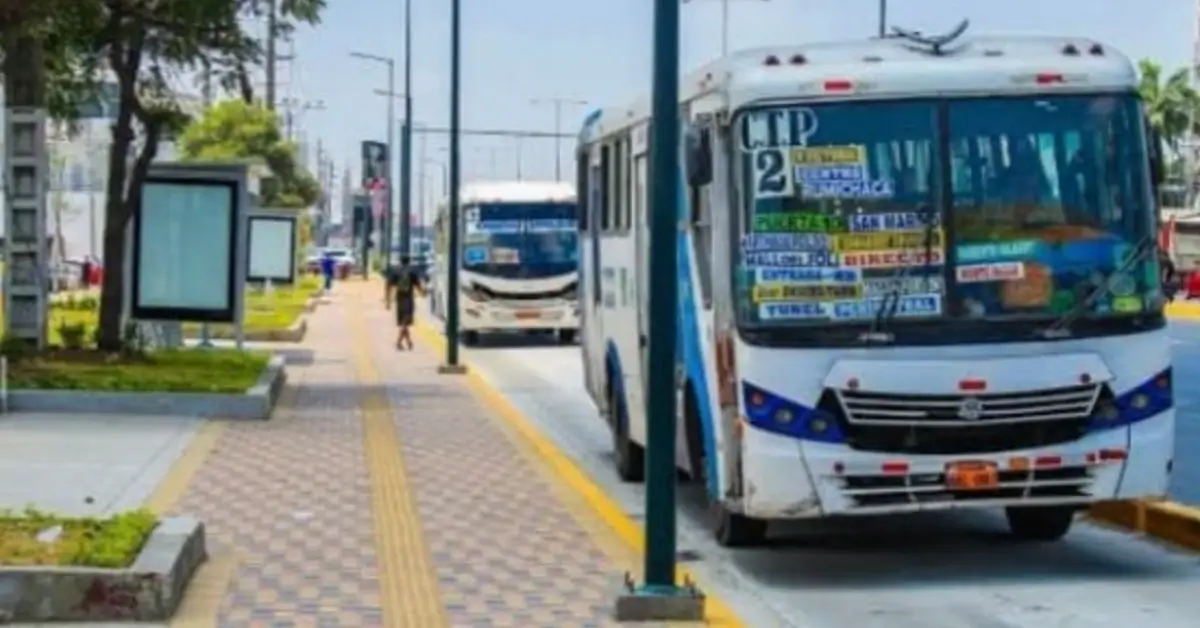 Buses urbanos de Daule
