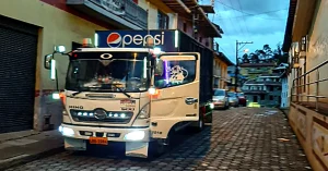 Camion distribuidor en ciudad