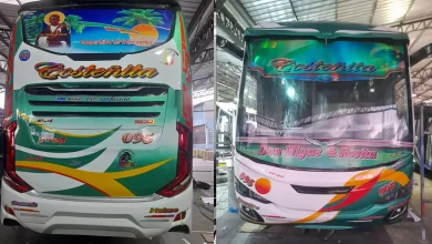 Nuevo diseño de pintura de Costeñita