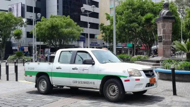 Transporte comercial mixto