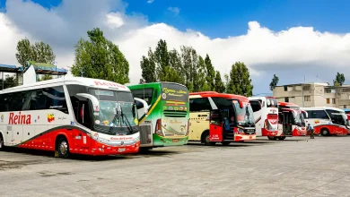 Buses interprovinciales pierden pasajeros