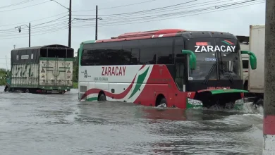 Transportistas pierden hasta 2000 por el invierno