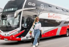 Transporte internacional de pasajeros