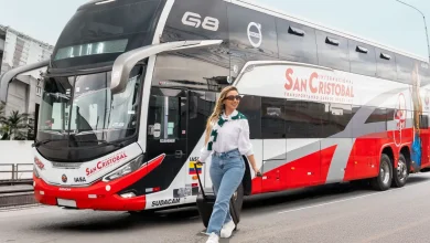 Transporte internacional de pasajeros